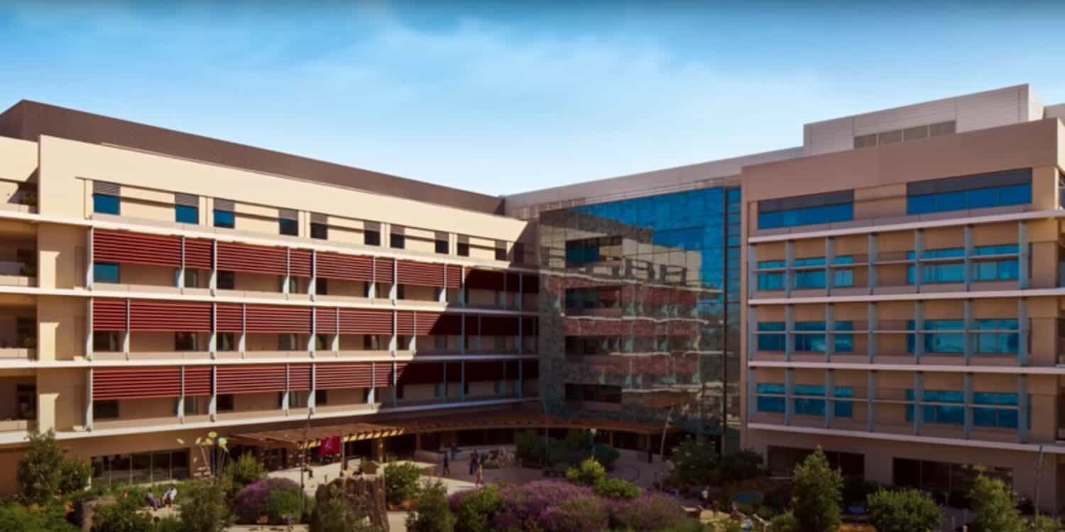 Thumbnail for Buzon Icon Projects Video